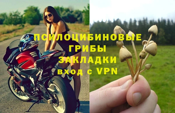 mdpv Верея